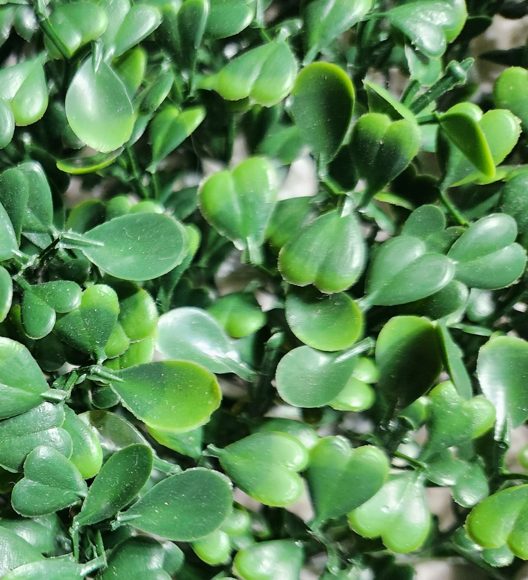 Premium Grass Blades Dark Green Artificial Boxwood