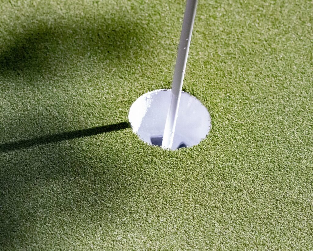 LQ-Cup-Premium-Grass-Blades-Synthetic-Artificial-Turf-putting-green-hole-shadows Artificial Putting Green Installation