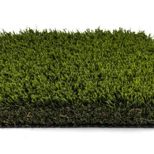 Everglades Small Remnant (Batch B2) Roll Size 7.5X2 $23 (Reg $88.35)