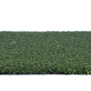 Premium Sports Putt 60 (Discontinued) Roll End (Batch CC5) Roll Size 15X7 $315 (Reg $628.95)