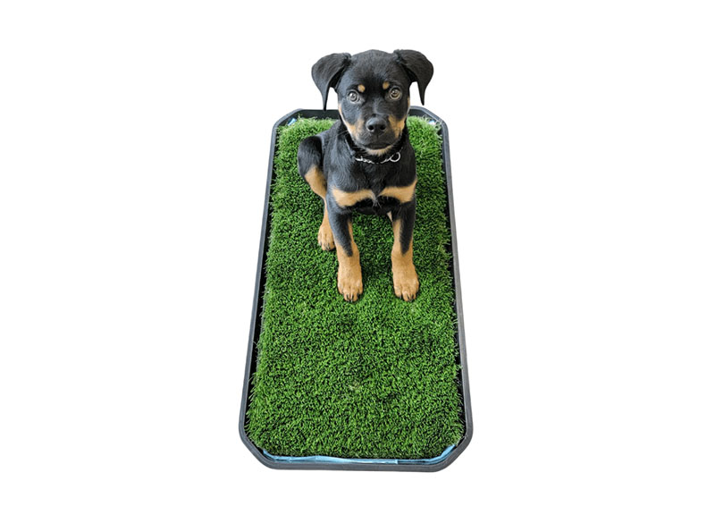 Dog potty & mat